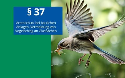 Naturschutzgesetz in Hessen ist beschlossen – aber was heißt das?