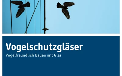 Neue Broschüre Vogelschutzgläser – Jetzt kostenlos bestellen.